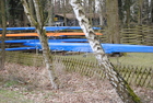Bilder Hankensbüttel (4).JPG