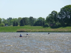 Bremen 2011 (87).JPG