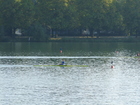 09-2011 Endspurt RVB (19).JPG