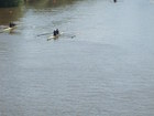 Kassel 2007 021.jpg