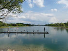 Kölner Junioren-Regatta am 18. und 19.05.2019