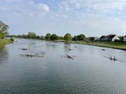 IMG_0981.JPEG