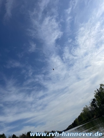 IMG_7432(1).JPEG