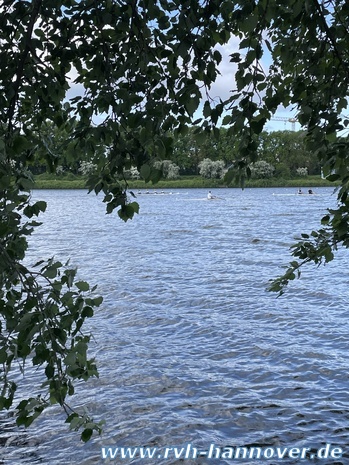 IMG_7623.JPEG