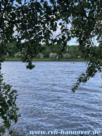 IMG_7624.JPEG
