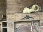 IMG_2443(2).JPEG