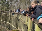 IMG_2448(2).JPEG