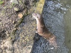 IMG_2471(1).JPEG