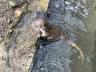 IMG_2472(1).JPEG