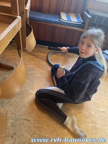 IMG_2582(3).JPEG