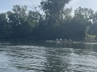 IMG_3057(3).JPEG