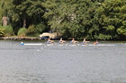 IMG_4331.jpg
