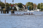 IMG_4917.jpg